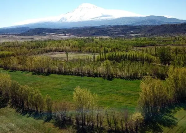 2b-arazi-tapu-rcf9_cover